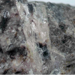 Lomonosovite