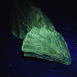 Polylithionite
