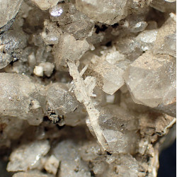 Epididymite
