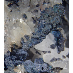 Bornite