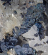 Bornite